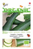 Organic Courgette Partenon F1 (Skal 14725) Tuinplus - Buzzy