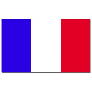 Vlag Frankrijk - 90 x 150 cm - Franse Vlag - France