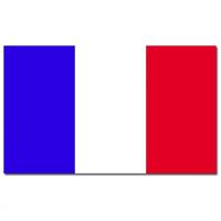 Vlag Frankrijk - 90 x 150 cm - Franse Vlag - France