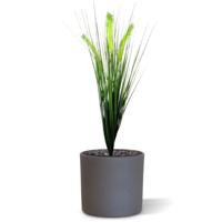 Pennisetum kunst Pluimgras plant 50cm Pennisetum kunst Pluimgras plant 50cm