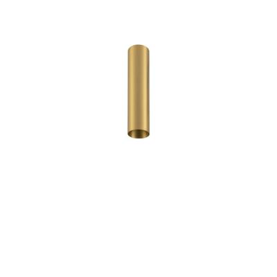 Lyora Gouden smalle plafondspotFourty S - 10882