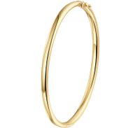 Armband Bangle Ovale Buis geelgoud 4 x 60 mm