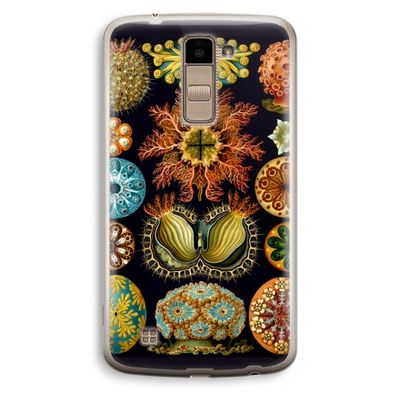 Haeckel Ascidiae: LG K10 (2016) Transparant Hoesje