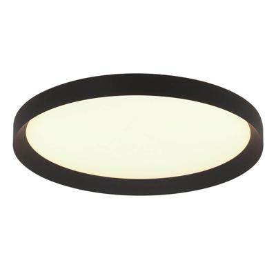 Steinhauer Strakke plafondlampFlady zwart Ø 50cm - 3686ZW