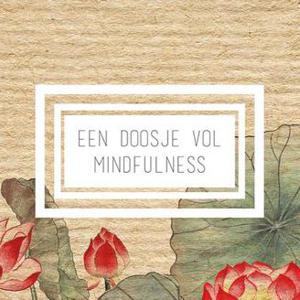 Bruin Kartonnen Doosje Vol Mindfulness met 144 Rolletjes