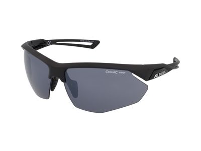Zonnebrillen Alpina Nylos HR Black Matt/CM Black