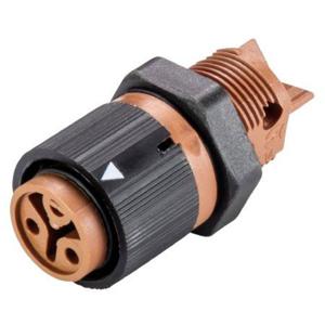 Wieland Electric 46.031.5051.4 Ronde connector Bus, inbouw Totaal aantal polen: 2 Serie (ronde connectoren): RST® MINI 1 stuk(s)