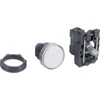 Schneider Electric XB5AVG1 Verlichte melder 1 stuk(s)