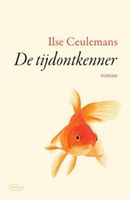 De tijdontkenner - Ilse Ceulemans - ebook