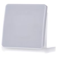 CD 590 LG  - Cover plate for switch/push button grey CD 590 LG - thumbnail