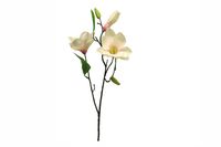 Kunstbloem Magnolia Stardust peach 60cm