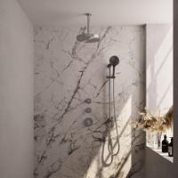 BRAUER Stripe Thermostatische Inbouw Regendouche - SET 12 - 25cm douchekop - plafondarm - 3-standen handdouche - doucheslang - geïntegreerde glijstang - RVS-kleurig geborsteld PVD 5-NG-387
