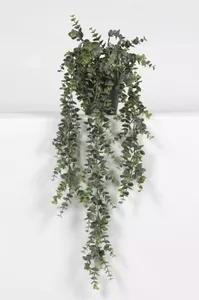 Kunsthangplant Eucalypthus in pot