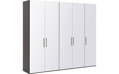 Goossens Kledingkast Easy Storage Ddk, Kledingkast 253 cm breed, 220 cm hoog, 5x glas draaideur