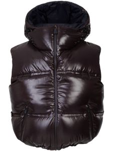 Aztech Mountain gilet matelassé Snowbird - Marron