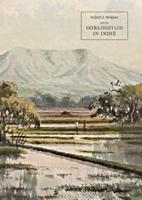 Mijn oorlogstijd in Indië (Hardback)