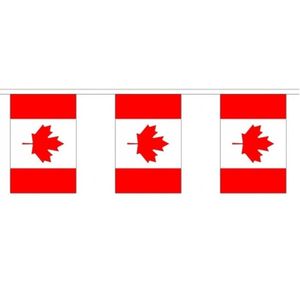 Stoffen vlaggenlijn Canada 3 meter   -