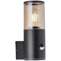 Brilliant Zwarte buitenlampSergioro met sensor - 96472/63