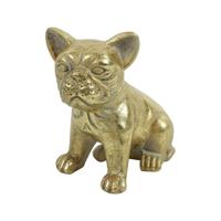 Hond zitten Pugsy Goud S