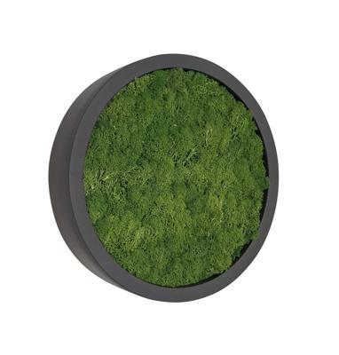 Mosschilderij Fay Fiberstone S