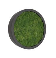 Mosschilderij Fay Fiberstone S