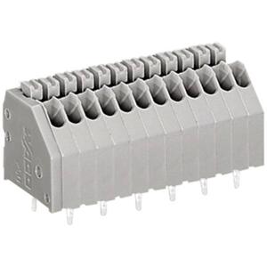 WAGO 250-403 Veerkrachtklemblok 0.50 mm² Aantal polen 3 Grijs 1 stuk(s)