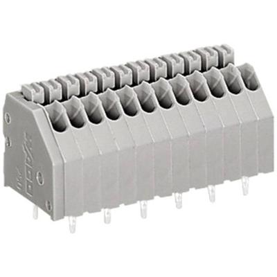 WAGO 250-402 Veerkrachtklemblok 0.50 mm² Aantal polen 2 Grijs 1 stuk(s)