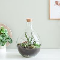 Terrarium Cartagena