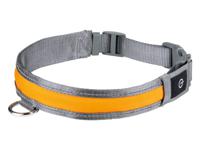 zoofari LED hondenhalsband (L)