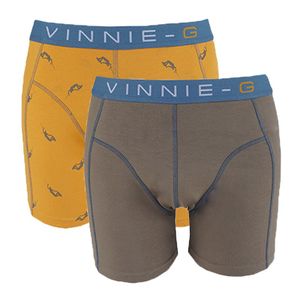 Vinnie-G boxershorts Wakeboard Grey - Print 2-Pack-L