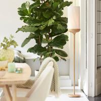 Light & Living Vloerlamp 'Dania' 159cm, kleur Licht hout