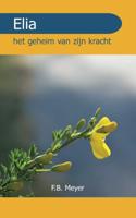 Elia (Paperback)