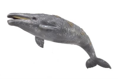 Collecta Zeedieren Grijze walvis 23 cm Collecta Zeedieren Grijze walvis 23 cm
