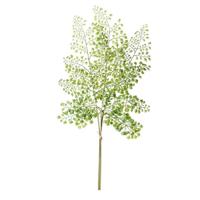 Kunstplant - takken - venushaar - 58 cm - groen - voor in een boeket Kunstplant - takken - venushaar - 58 cm - groen - voor in een boeket