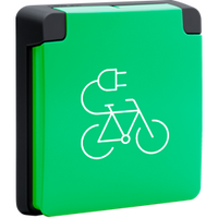 Fietsoplaadpunt zwart / 250 Vac stopcontact met randaarde