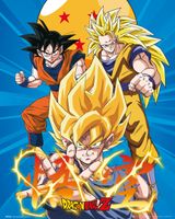 Dragon Ball Z 3 Goku's Poster 40x50cm - thumbnail