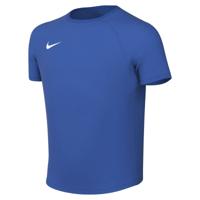 Nike Dri-FIT Park VIII Voetbalshirt Kids Blauw Wit