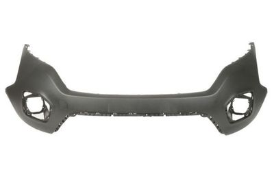 Bumper 5510002053907Q