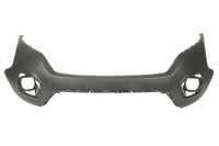 Bumper 5510002053907Q