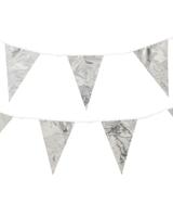 HEMA Vlaggenlijn 6m zilver (zilver)