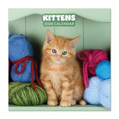 Kittens Kalender 2026