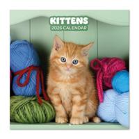 Kittens Kalender 2026