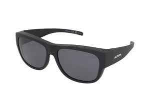 Zonnebrillen Alpina Overview II Q Black Matt