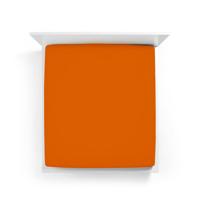 Bella Donna Bella Donna Hoeslaken Jersey Tweepersoons 140x190-160x220 cm Cayenne-0715