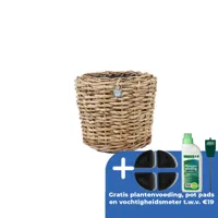 Drypot abaca d36h28cm