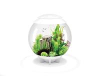 biOrb Halo 60 MCR wit - Oase