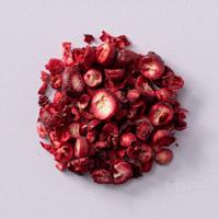 Gevriesdroogde cranberry schijfjes 60 gram