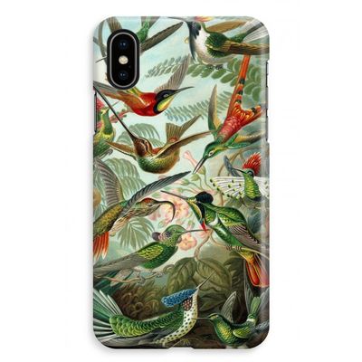 Haeckel Trochilidae: iPhone XS Max Volledig Geprint Hoesje