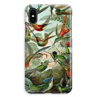 Haeckel Trochilidae: iPhone XS Max Volledig Geprint Hoesje