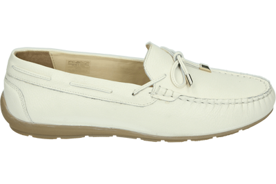 Ara 1219212 - alle